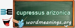 WordMeaning blackboard for cupressus arizonica